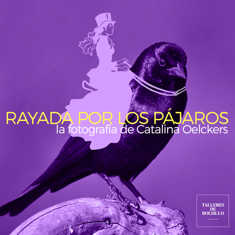 Rayada por los Pájaros